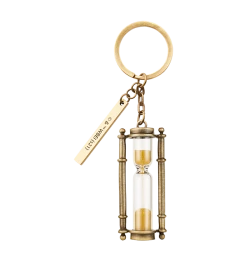 Warner Bros Best Sellers Hufflepuff House Points Keyring