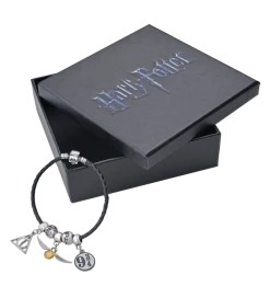 Warner Bros Harry Potter Charm Bracelet Set