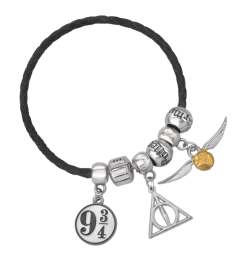 Warner Bros Harry Potter Charm Bracelet Set
