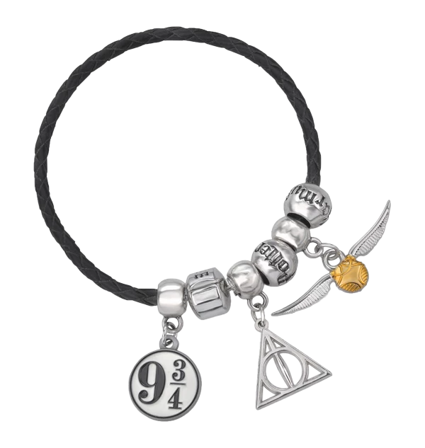 Warner Bros Harry Potter Charm Bracelet Set
