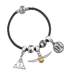 Warner Bros Harry Potter Charm Bracelet Set