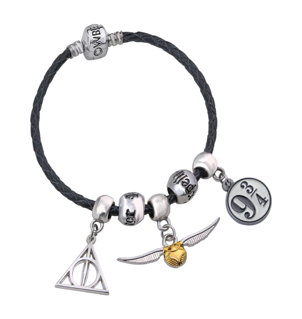 Warner Bros Harry Potter Charm Bracelet Set