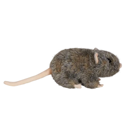 Warner Bros Scabbers Plush Soft Toys