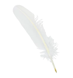 Warner Bros Feather Quill Pen Best Sellers