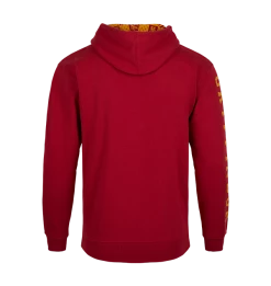 Warner Bros Gryffindor Hooded Sweatshirt Best Sellers