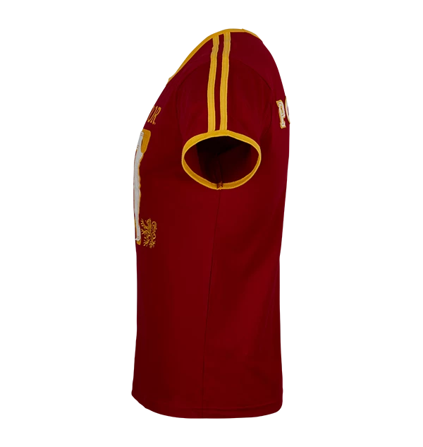 Warner Bros Best Sellers Personalised Gryffindor House Seeker T-Shirt