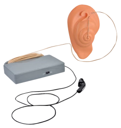 Warner Bros Extendable Ear Best Sellers