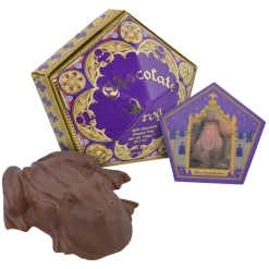 Warner Bros Best Sellers Chocolate Frog - With Authentic Film Packaging