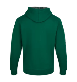 Warner Bros Best Sellers Slytherin Hooded Sweatshirt