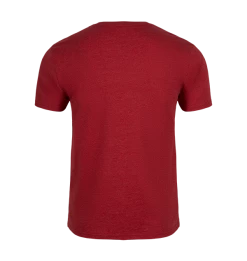 Warner Bros Gryffindor Quidditch Team Captain T-Shirt