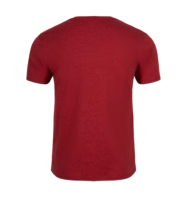 Warner Bros Gryffindor Quidditch Team Captain T-Shirt