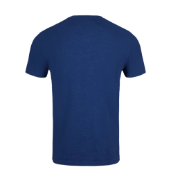 Warner Bros Best Sellers Ravenclaw Quidditch Team Captain T-Shirt
