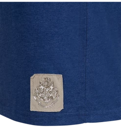 Warner Bros Best Sellers Ravenclaw Quidditch Team Captain T-Shirt