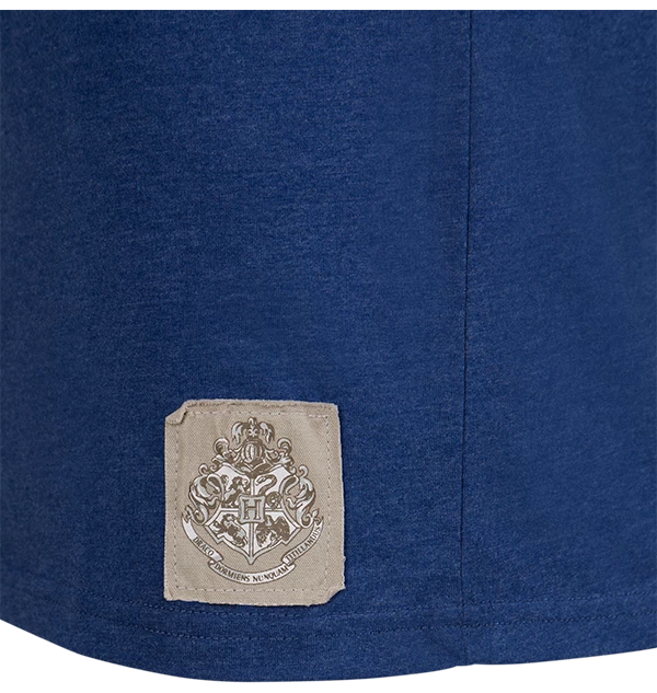 Warner Bros Best Sellers Ravenclaw Quidditch Team Captain T-Shirt