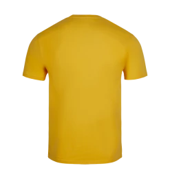 Warner Bros Best Sellers Hufflepuff Quidditch Team Captain T-Shirt