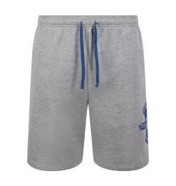 Warner Bros Best Sellers Ravenclaw Quidditch Team Captain Shorts
