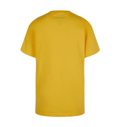 Warner Bros Kids Hufflepuff Quidditch Team Captain T-Shirt