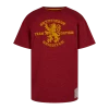 Warner Bros Best Sellers Kids Gryffindor Quidditch Team Captain T-Shirt
