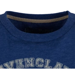 Warner Bros Best Sellers Kids Ravenclaw Quidditch Team Captain T-Shirt
