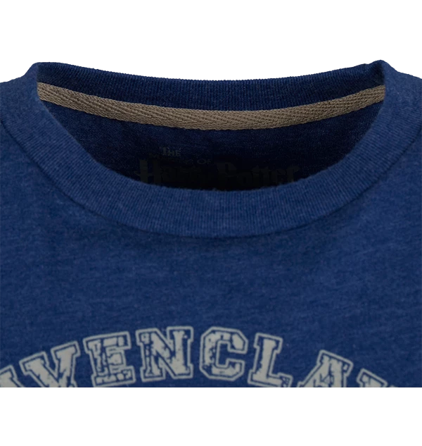 Warner Bros Best Sellers Kids Ravenclaw Quidditch Team Captain T-Shirt