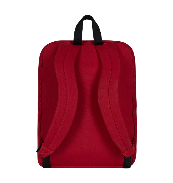 Warner Bros Gryffindor Lined Backpack Best Sellers