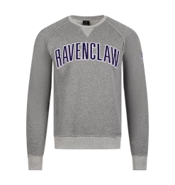 Warner Bros Ravenclaw Sweatshirt Best Sellers