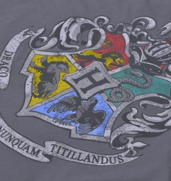 Warner Bros Kids Hogwarts Silver Crest T-Shirt