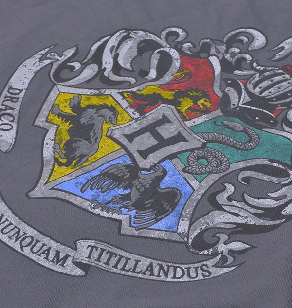 Warner Bros Kids Hogwarts Silver Crest T-Shirt