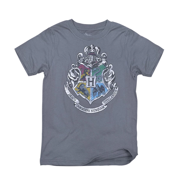 Warner Bros Kids Hogwarts Silver Crest T-Shirt