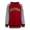 Warner Bros Kids Gryffindor Sweatshirt Best Sellers