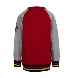 Warner Bros Kids Gryffindor Sweatshirt Best Sellers