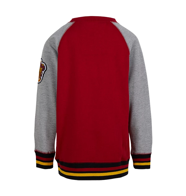 Warner Bros Kids Gryffindor Sweatshirt Best Sellers