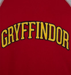 Warner Bros Kids Gryffindor Sweatshirt Best Sellers