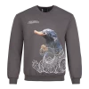 Warner Bros Best Sellers Niffler Sweatshirt
