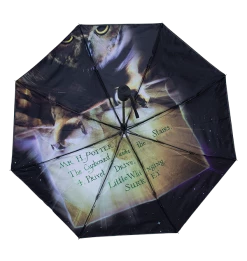 Warner Bros Philosopher's Stone Umbrella