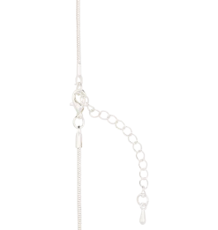 Warner Bros Chocolate Frog Charm Necklace