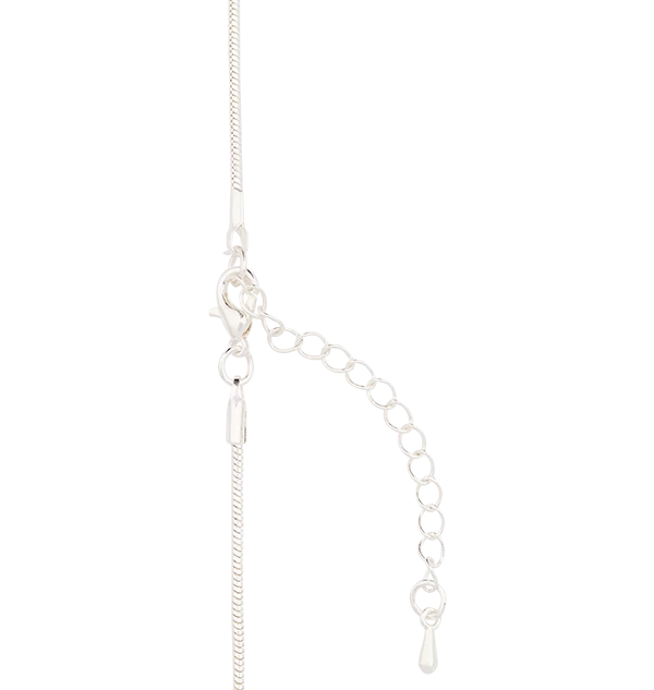 Warner Bros Chocolate Frog Charm Necklace