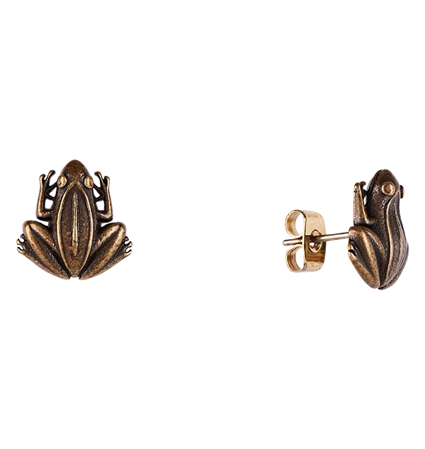 Warner Bros Chocolate Frog Earring Set Exclusives