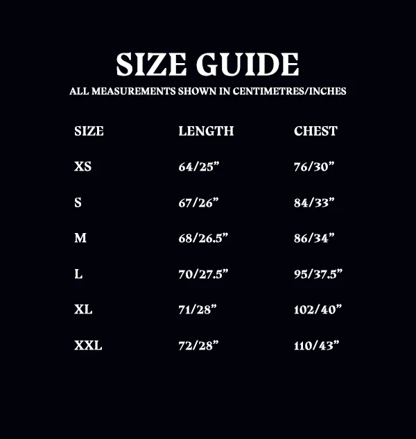 Warner Bros Ravenclaw Ladies Raglan Shirt