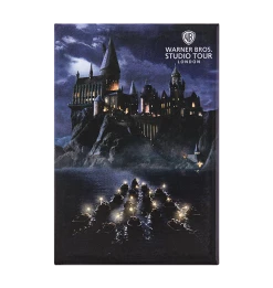Warner Bros Best Sellers Journey To Hogwarts Photo Magnet