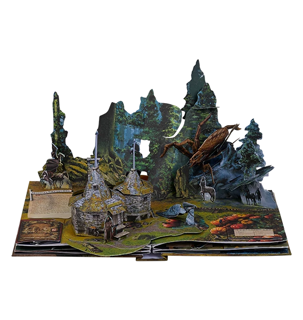 Warner Bros Harry Potter Pop Up Book