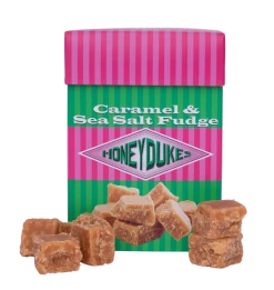 Warner Bros Best Sellers Honeydukes Caramel Sea Salt Fudge