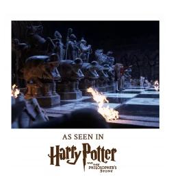 Warner Bros Wizard Chess Set Toys And Games