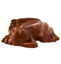 Pureprint Chocolate Frog With Personalised Wizard Card Best Sellers