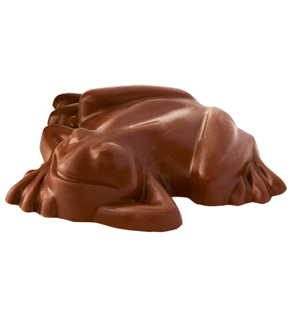 Pureprint Chocolate Frog With Personalised Wizard Card Best Sellers