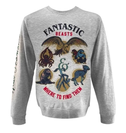 Warner Bros The Secrets Of Dumbledore Sweatshirt