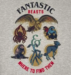 Warner Bros The Secrets Of Dumbledore Sweatshirt