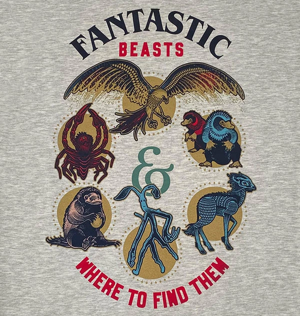 Warner Bros The Secrets Of Dumbledore Sweatshirt