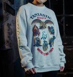 Warner Bros The Secrets Of Dumbledore Sweatshirt