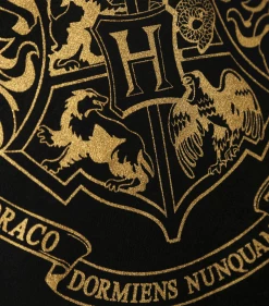 Warner Bros Hogwarts Gold Crest Hooded Jumper